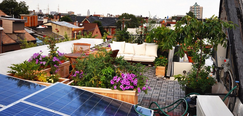 roof top garden